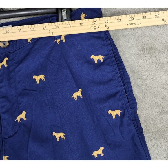 Golden Retriever Labrador Dog Pattern Print Men’s 34-36 Shorts preppy fun - Picture 8 of 14